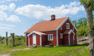 Roof Maintenance This Summer